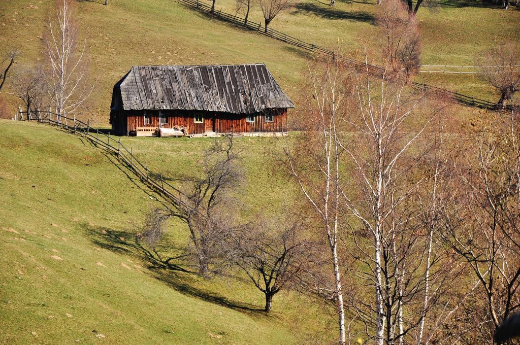 Samedru Hotel Măgura Exterior foto